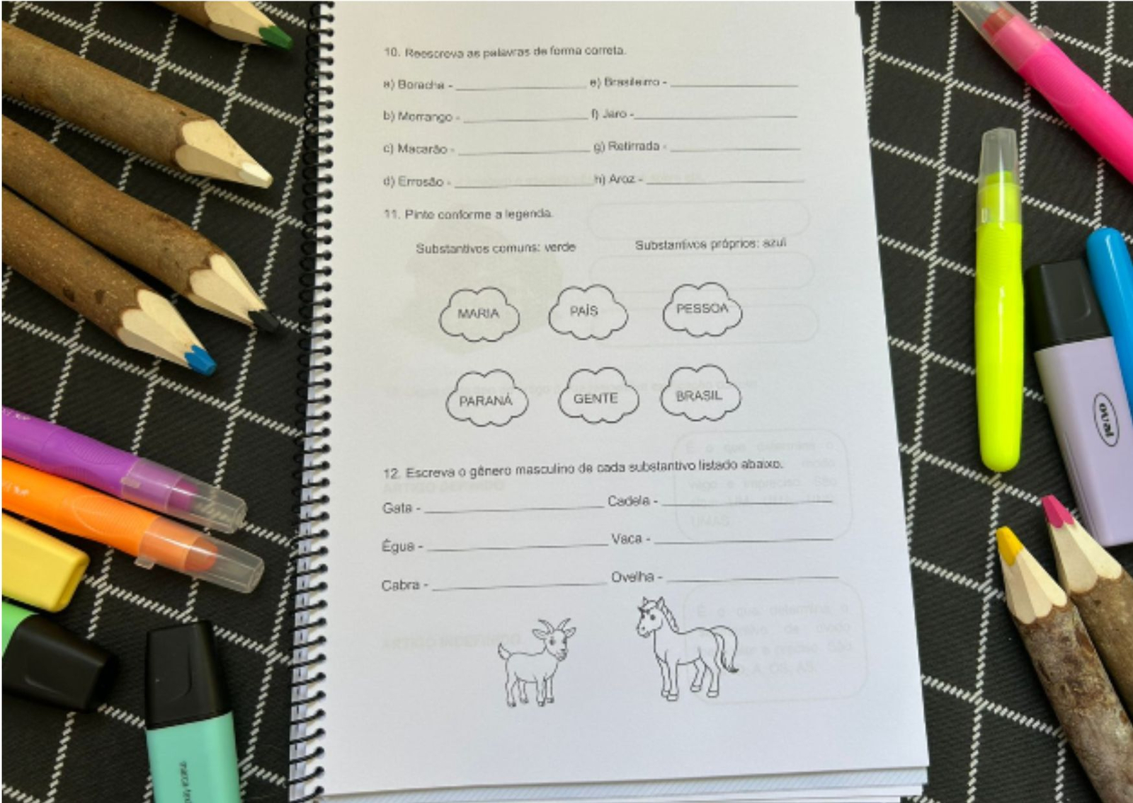 Preview de Avaliação Diagnóstica para o 4º Ano do Ensino Fundamental