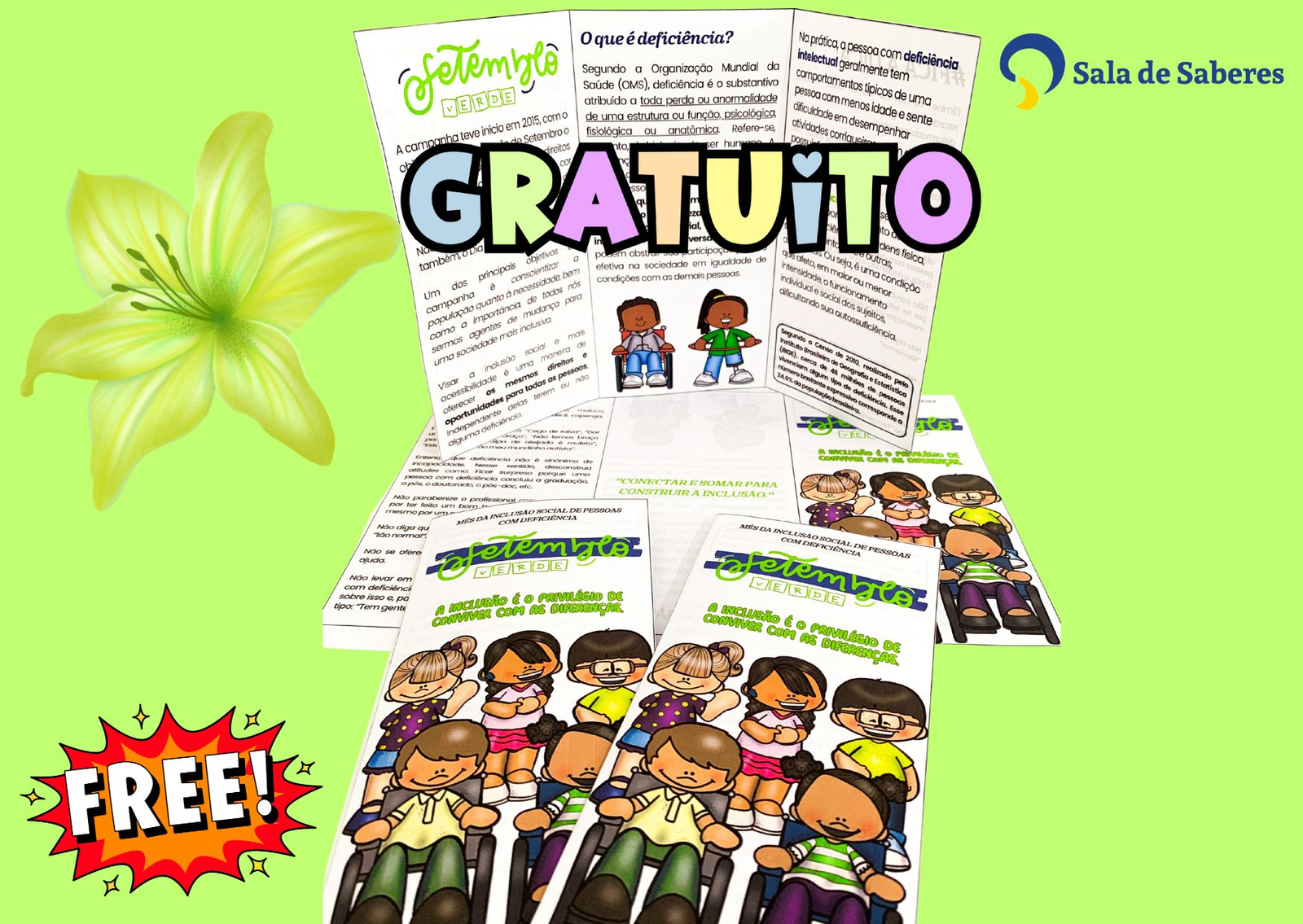 Preview de Setembro Verde — Mês da Inclusão de Pessoas com Deficiência