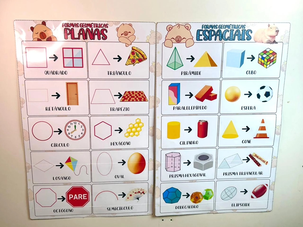 Imagem de Material Educativo: Formas Geométricas com Tema Capivara