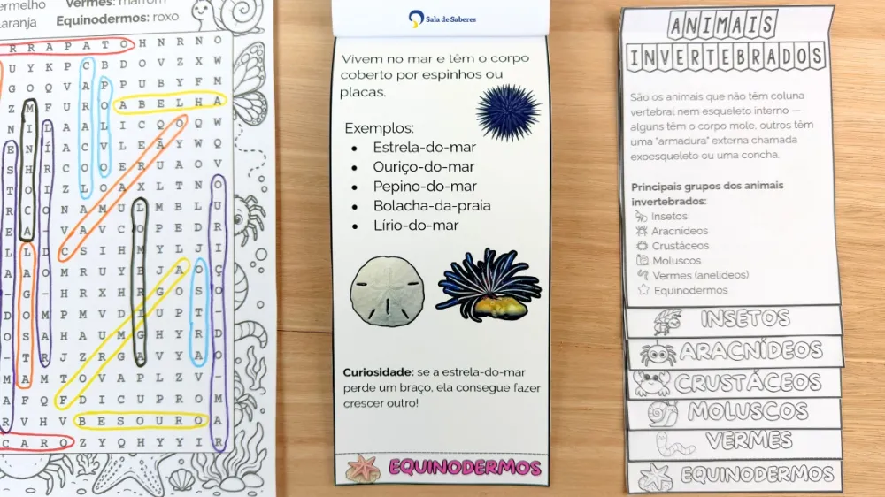 Imagem 12 de Flipbook dos Animais Invertebrados: Colorido e Para Colorir