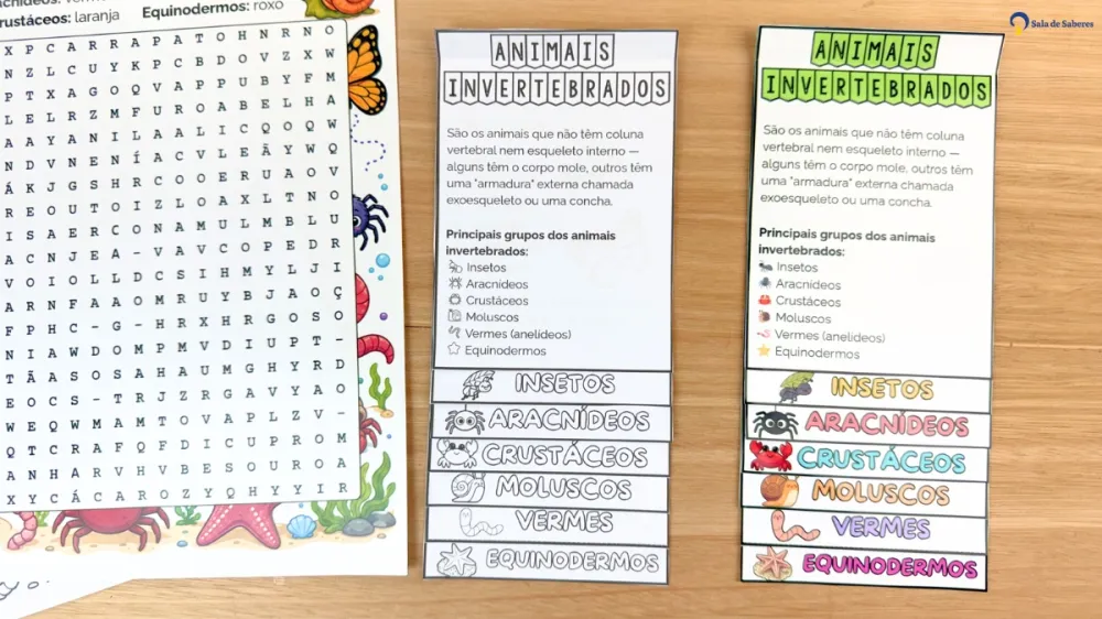 Imagem 5 de Flipbook dos Animais Invertebrados: Colorido e Para Colorir