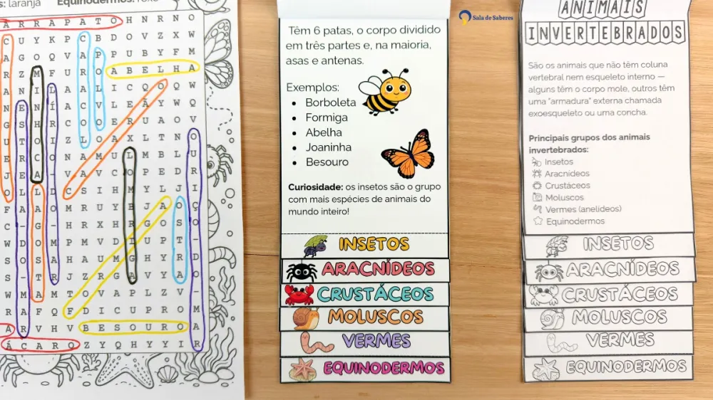 Imagem 7 de Flipbook dos Animais Invertebrados: Colorido e Para Colorir