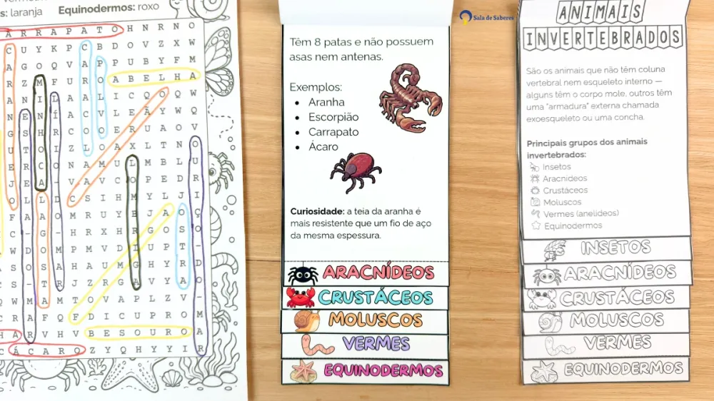 Imagem 8 de Flipbook dos Animais Invertebrados: Colorido e Para Colorir