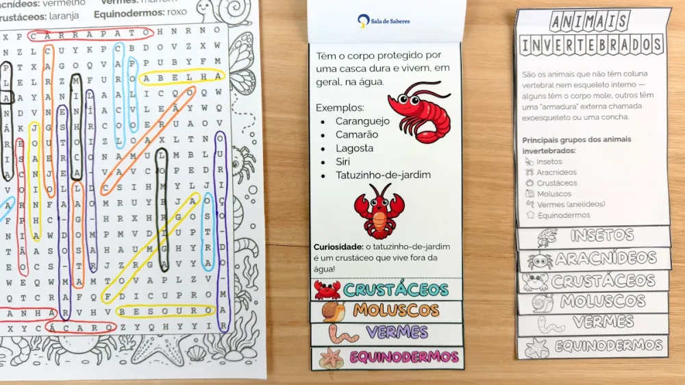Imagem 9 de Flipbook dos Animais Invertebrados: Colorido e Para Colorir