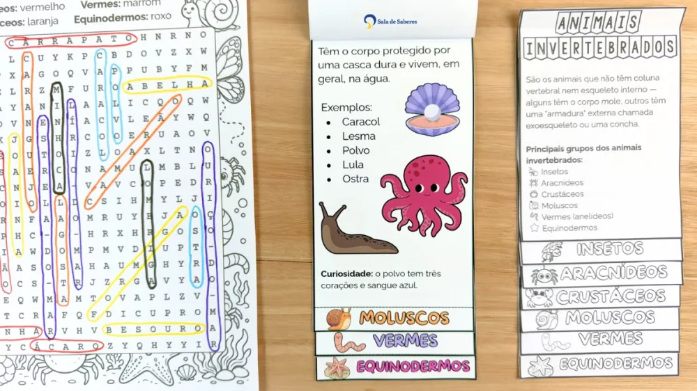 Imagem 10 de Flipbook dos Animais Invertebrados: Colorido e Para Colorir