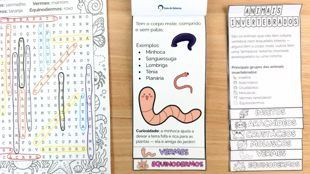 Imagem 11 de Flipbook dos Animais Invertebrados: Colorido e Para Colorir
