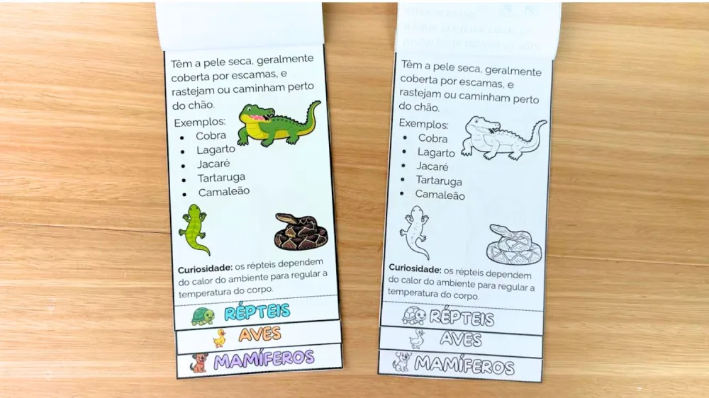 Imagem 5 de Flipbook dos Animais Vertebrados: Colorido e Para Colorir