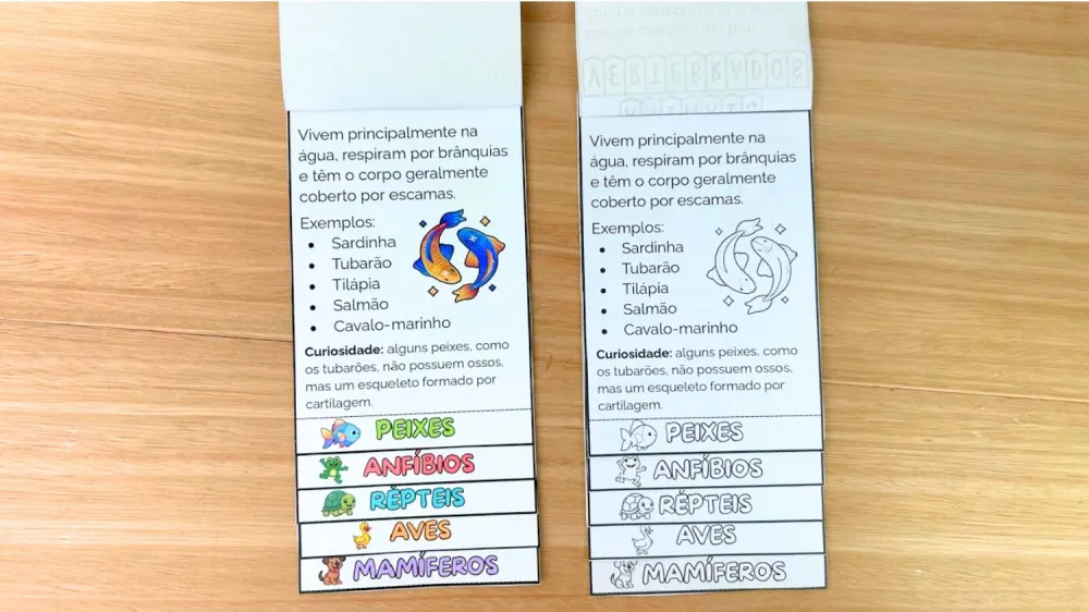 Imagem 6 de Flipbook dos Animais Vertebrados: Colorido e Para Colorir