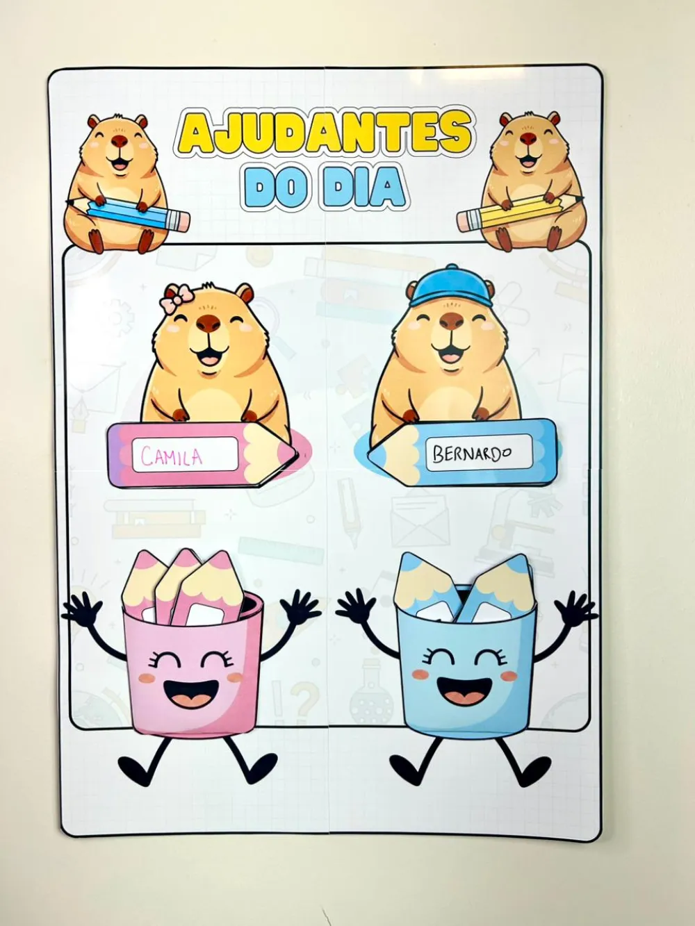 Imagem 6 de Kit Sala de Aula - Tema Capivara - 2026 - 29 Arquivos