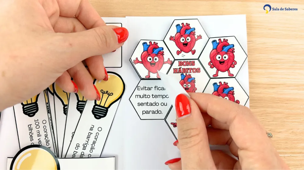 Imagem 13 de Lapbook do Sistema Circulatório Colorido e para Colorir