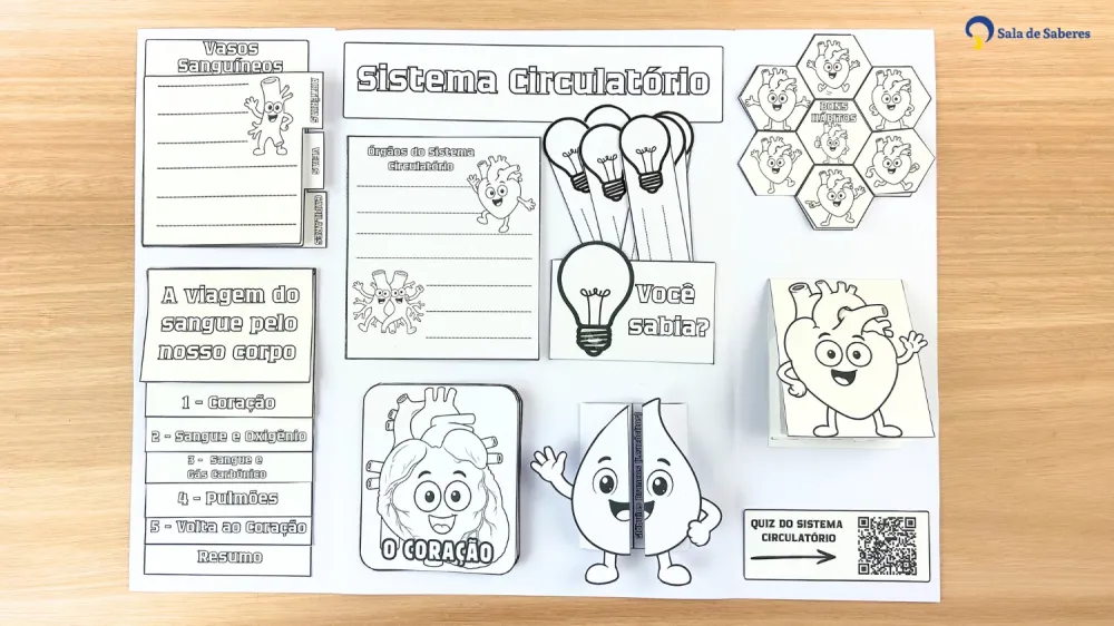 Imagem 14 de Lapbook do Sistema Circulatório Colorido e para Colorir