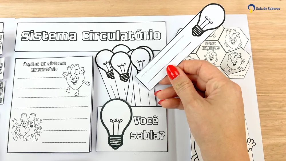 Imagem 16 de Lapbook do Sistema Circulatório Colorido e para Colorir