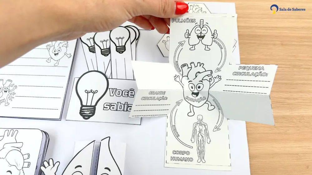Imagem 17 de Lapbook do Sistema Circulatório Colorido e para Colorir