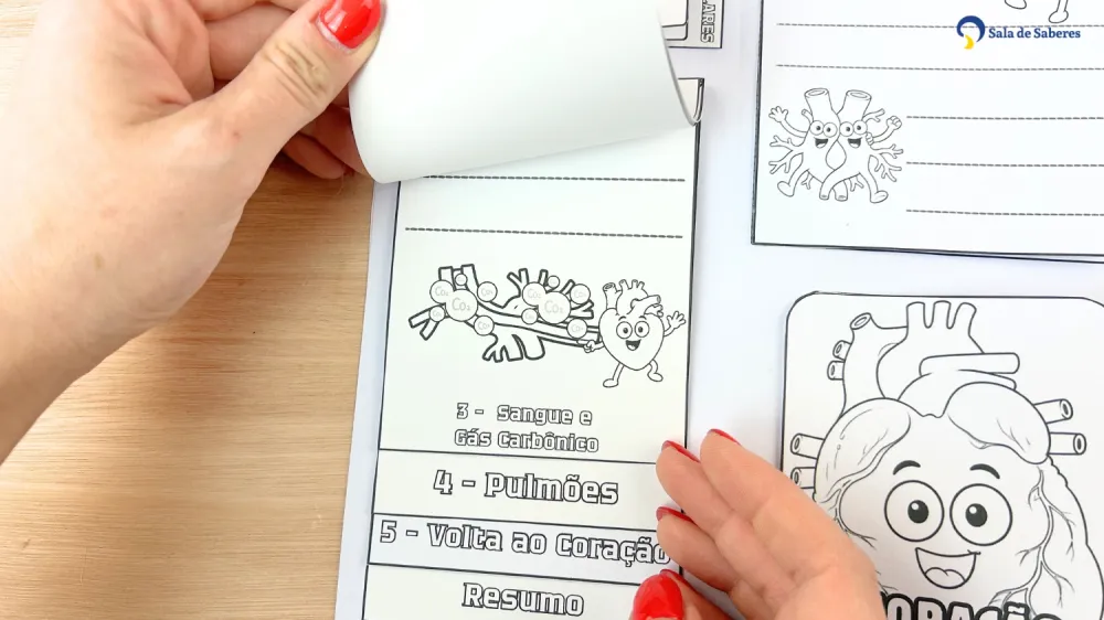 Imagem 18 de Lapbook do Sistema Circulatório Colorido e para Colorir