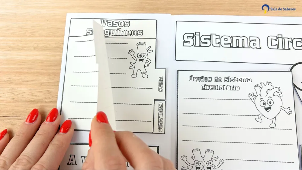 Imagem 19 de Lapbook do Sistema Circulatório Colorido e para Colorir