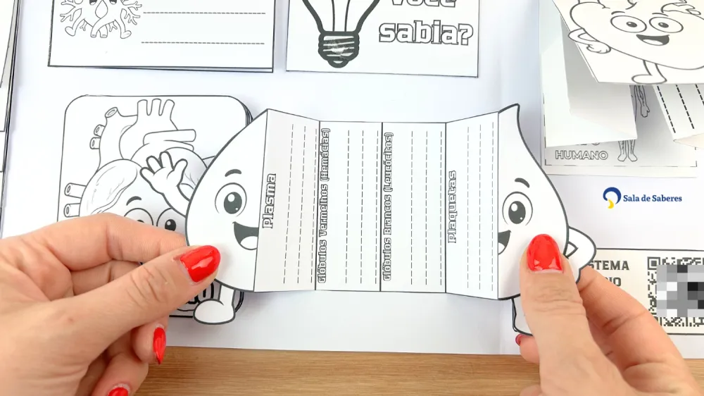 Imagem 20 de Lapbook do Sistema Circulatório Colorido e para Colorir