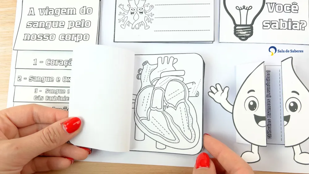 Imagem 21 de Lapbook do Sistema Circulatório Colorido e para Colorir