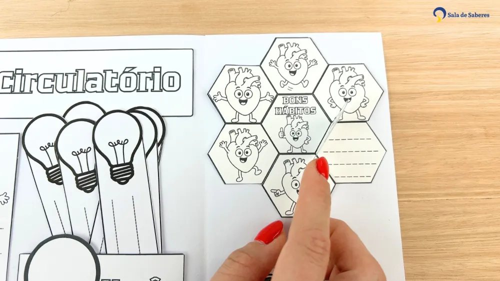 Imagem 23 de Lapbook do Sistema Circulatório Colorido e para Colorir