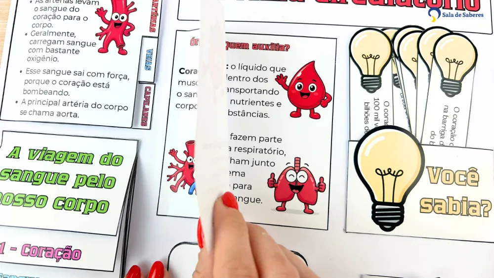 Imagem 4 de Lapbook do Sistema Circulatório Colorido e para Colorir