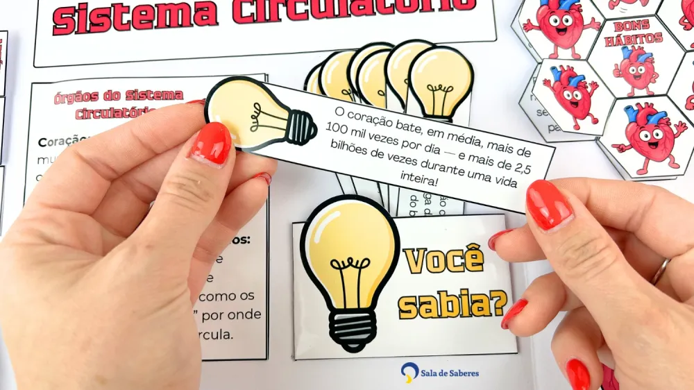 Imagem 6 de Lapbook do Sistema Circulatório Colorido e para Colorir