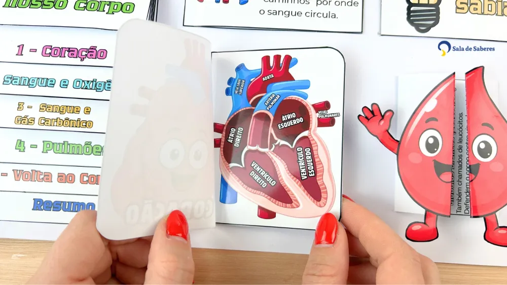 Imagem 9 de Lapbook do Sistema Circulatório Colorido e para Colorir