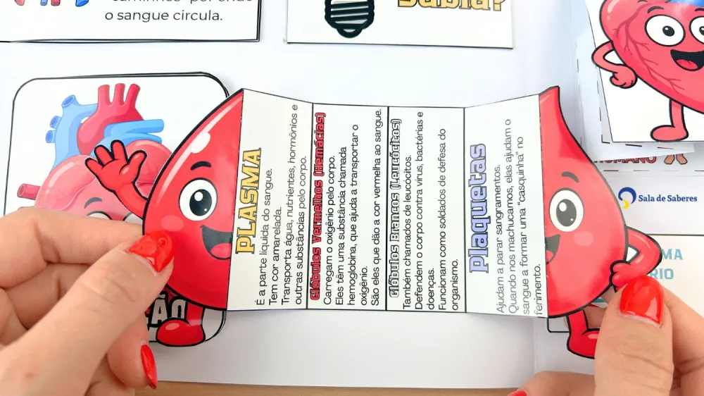 Imagem 11 de Lapbook do Sistema Circulatório Colorido e para Colorir