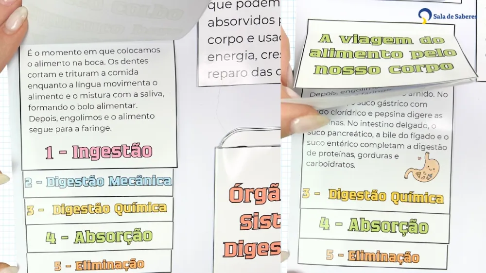 Imagem 15 de Lapbook Interativo do Sistema Digestório em PDF