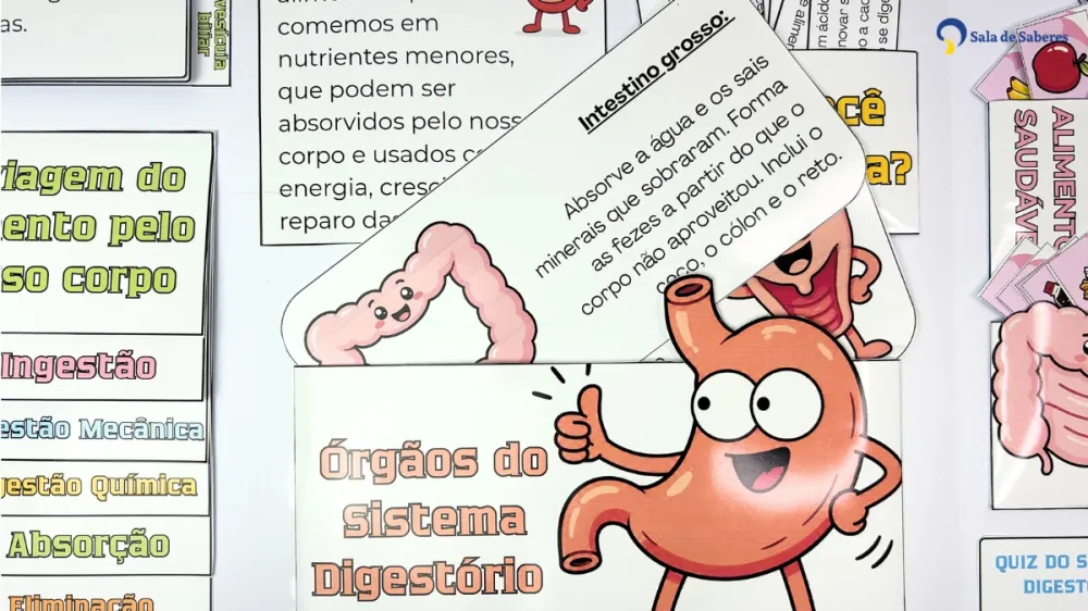 Lapbook Sistema Digestório