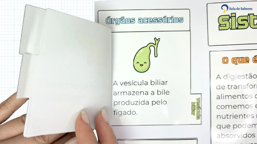 Lapbook Sistema Digestório