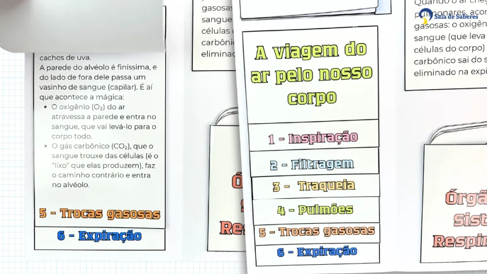 Imagem 15 de Lapbook Sistema Respiratório - PDF - Colorido e para colorir