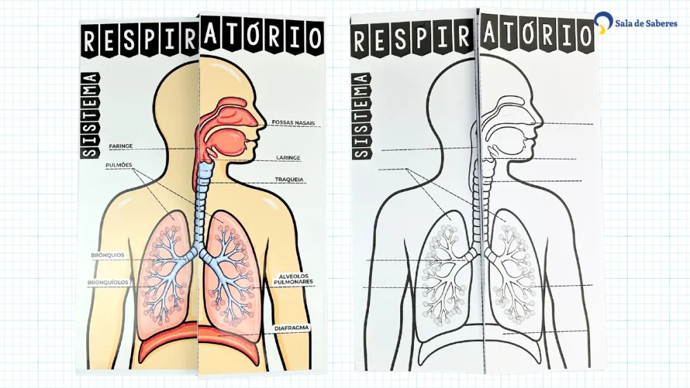 Imagem 4 de Lapbook Sistema Respiratório - PDF - Colorido e para colorir