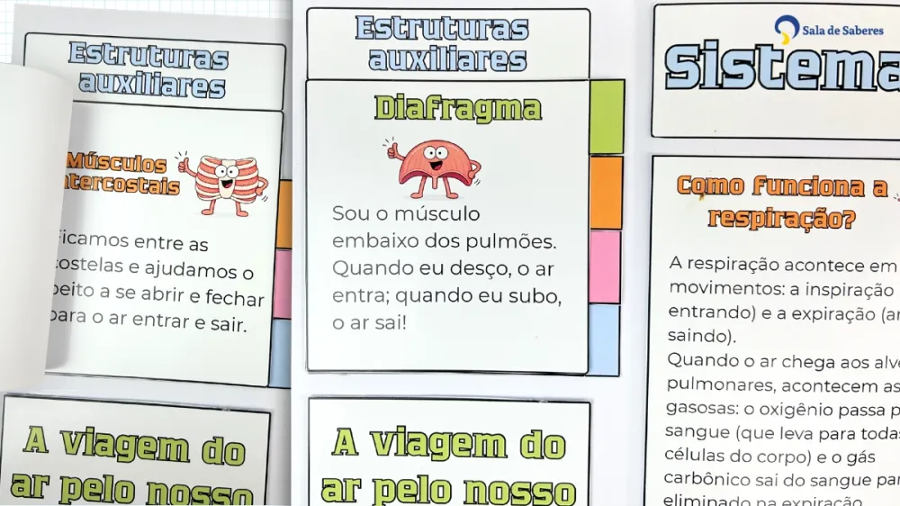 Imagem 11 de Lapbook Sistema Respiratório - PDF - Colorido e para colorir