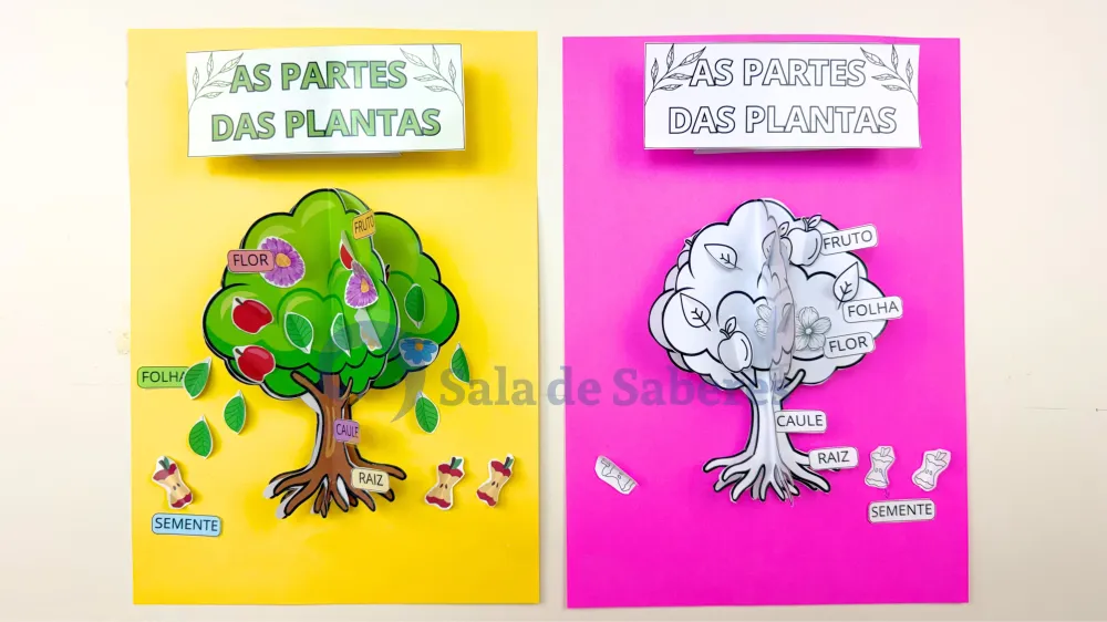 Imagem 2 de Partes da Planta + Maquete do Ciclo de Vida da Árvore