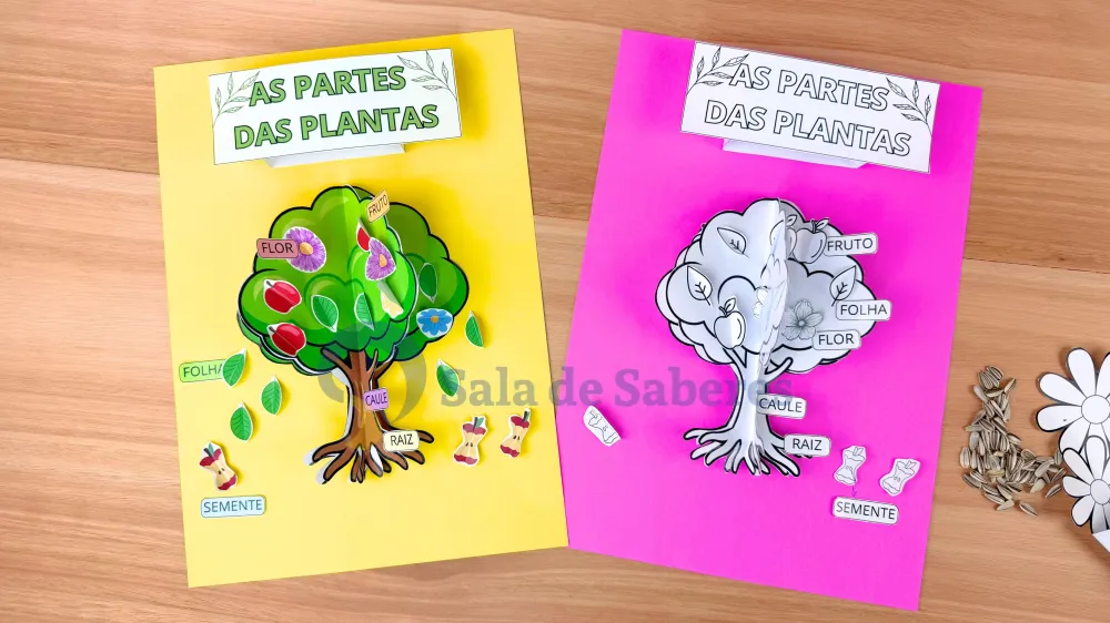 Imagem 14 de Partes da Planta + Maquete do Ciclo de Vida da Árvore