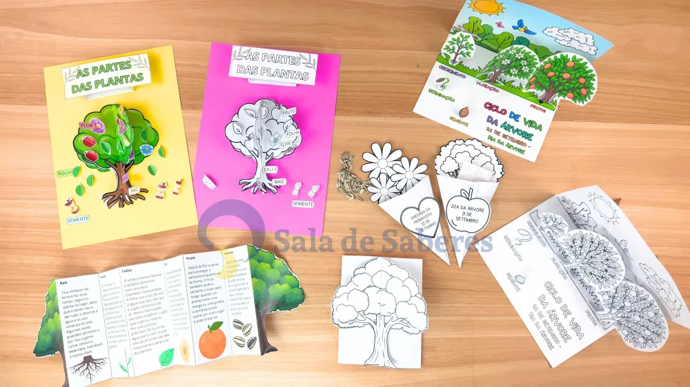Imagem 15 de Partes da Planta + Maquete do Ciclo de Vida da Árvore