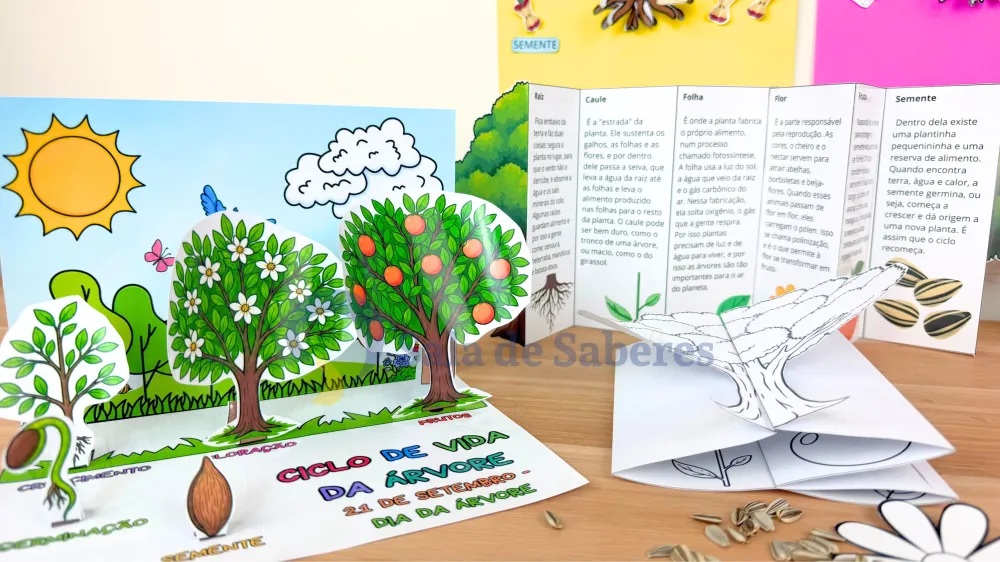 Imagem 3 de Partes da Planta + Maquete do Ciclo de Vida da Árvore