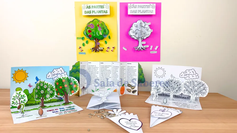 Imagem 4 de Partes da Planta + Maquete do Ciclo de Vida da Árvore