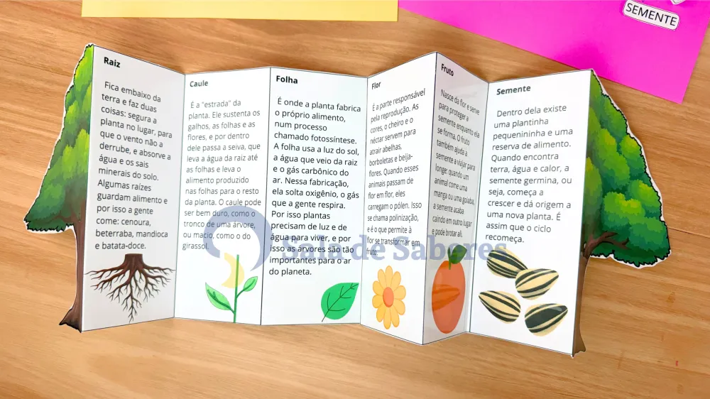 Imagem 6 de Partes da Planta + Maquete do Ciclo de Vida da Árvore