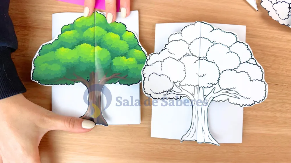 Imagem 7 de Partes da Planta + Maquete do Ciclo de Vida da Árvore