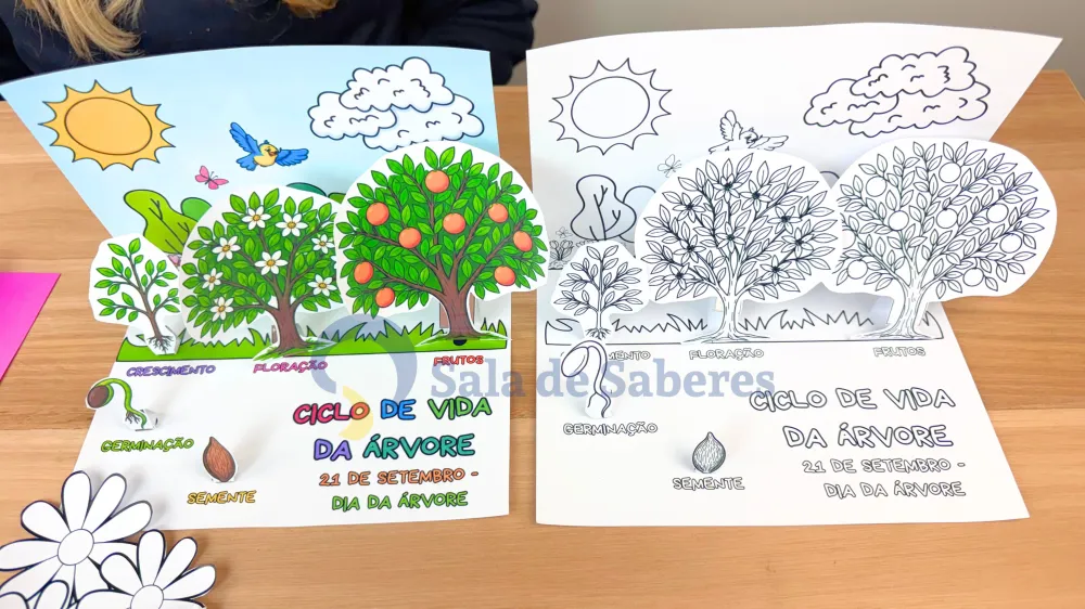 Imagem 8 de Partes da Planta + Maquete do Ciclo de Vida da Árvore
