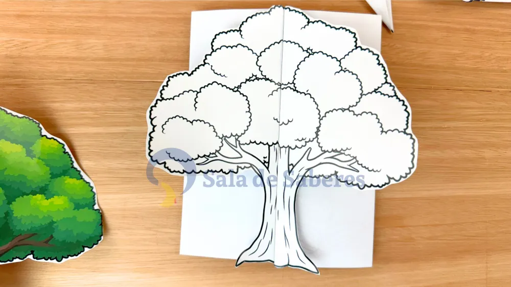 Imagem 9 de Partes da Planta + Maquete do Ciclo de Vida da Árvore