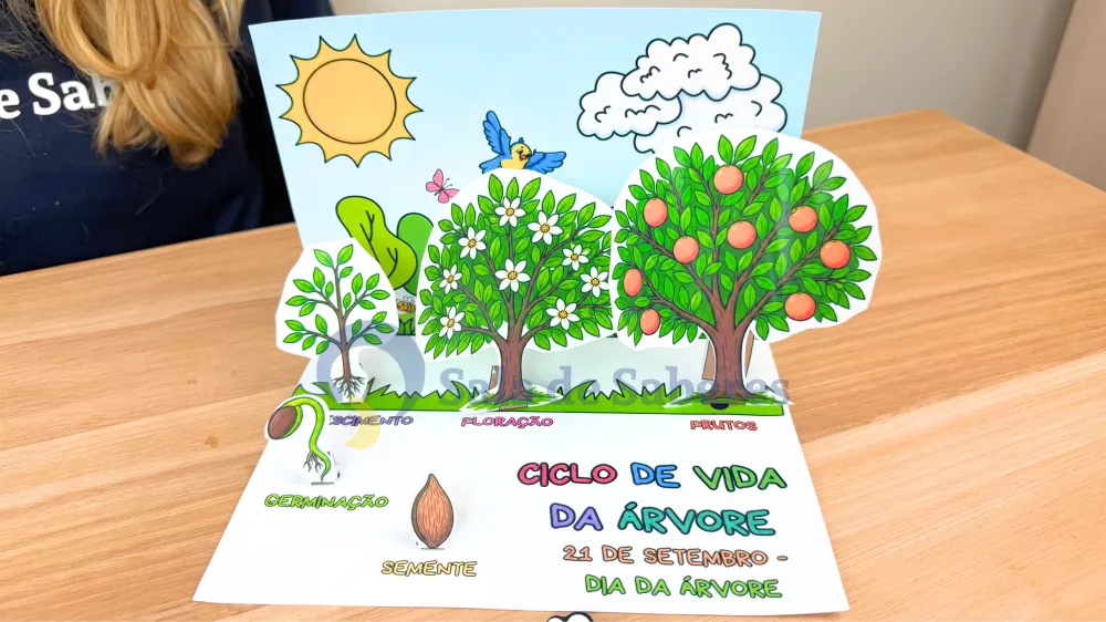 Imagem 10 de Partes da Planta + Maquete do Ciclo de Vida da Árvore
