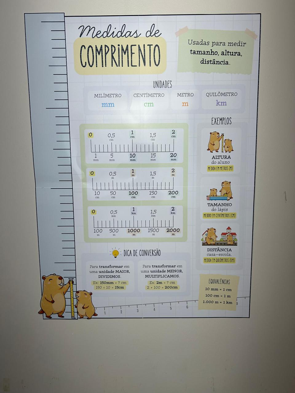 Preview de Painel Didático de Medidas de Comprimento – Tema Capivara