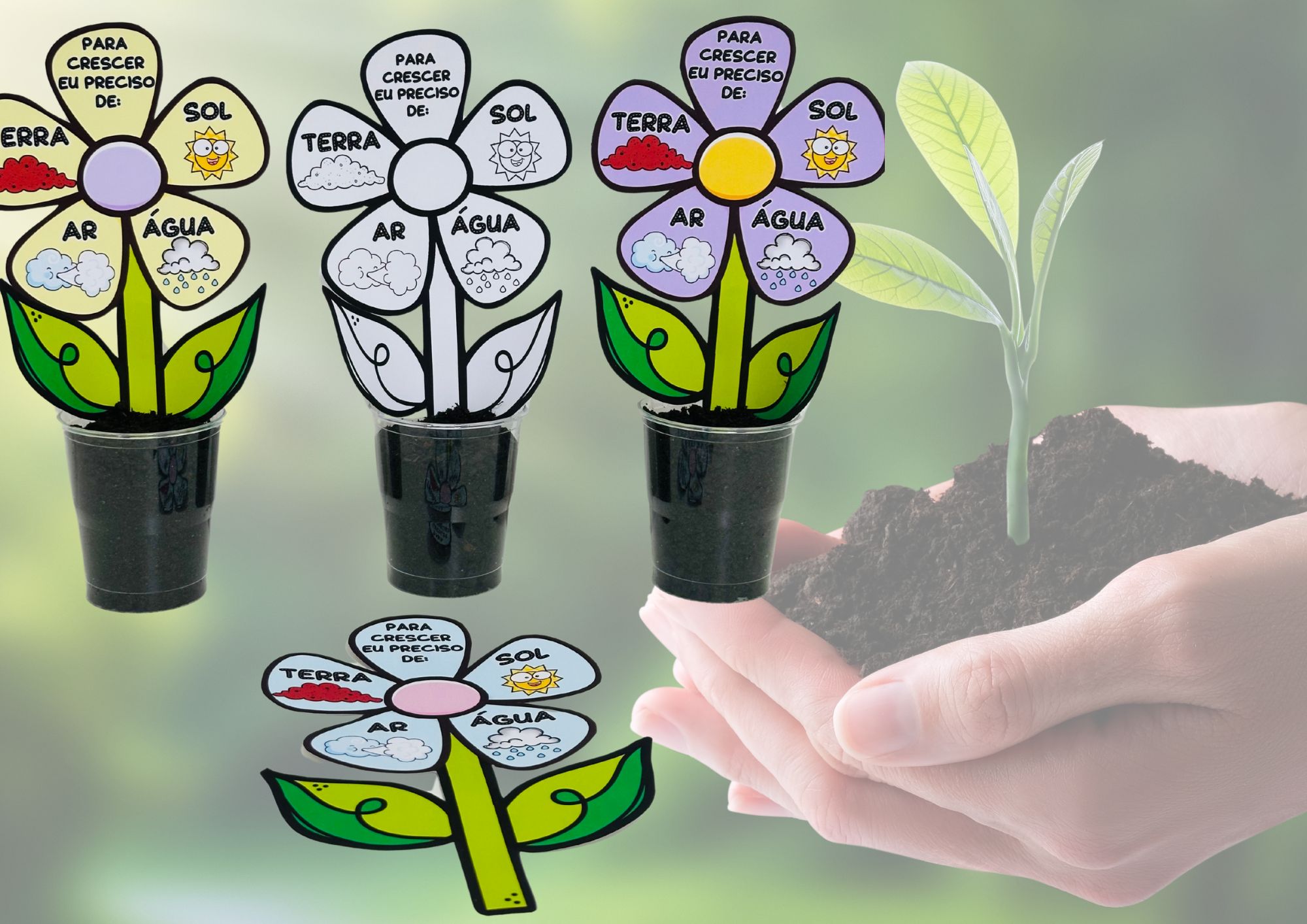 Imagem de Atividade Interativa - Meio Ambiente - Plantio de Sementes