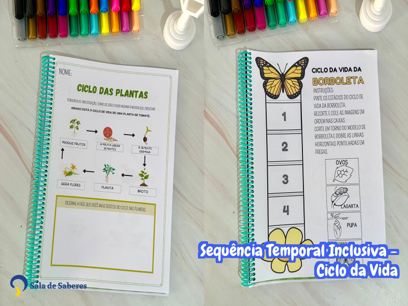 Imagem de Sequência Temporal Inclusiva - Ciclo da Vida